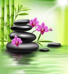 ảnh chụp màn hình cuộc sống xô bồ hay sô bồ