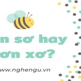 đơn xơ hay đơn sơ