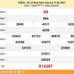 dự đoán xổ số bình định 568