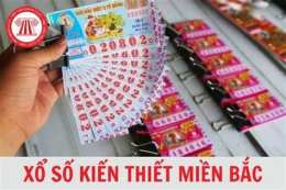 giao diện app bảng tuần xổ số kiến thiết miền bắc