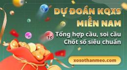 giao diện app dự đoán xổ số plus