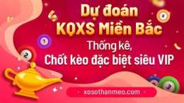 giao diện app dự đoán xổ số thần mèo chính xác nhất hôm nay