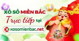 giao diện app ket qua xo so mien bac 30 ngay gan nhat