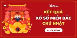 hướng dẫn sử dụng chủ nhật xổ số chủ nhật hàng tuần
