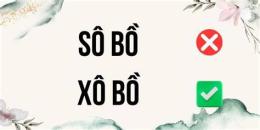 hướng dẫn sử dụng cuộc sống xô bồ hay sô bồ