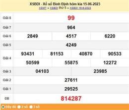 hướng dẫn sử dụng dự đoán xổ số bình định chiều nay