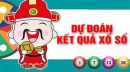 hướng dẫn sử dụng dự đoán xổ số bình