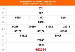 hướng dẫn sử dụng kết quả xổ số bình dương ngày 21 tháng 8