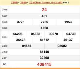 hướng dẫn sử dụng kết quả xổ số bình