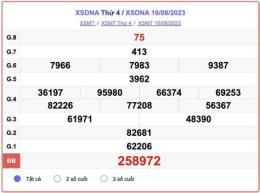 hướng dẫn sử dụng kết quả xổ số đà nẵng thứ tư