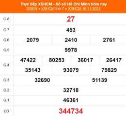hướng dẫn sử dụng kết quả xổ số hồ chí minh ngày 15 tháng 11