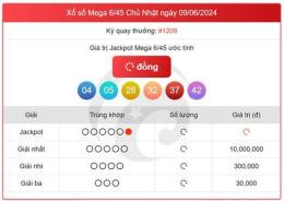 hướng dẫn sử dụng kết quả xổ số mega 6 45