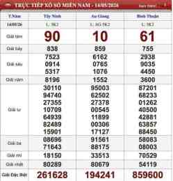 hướng dẫn sử dụng kết quả xổ số ngày 15 tháng 8 năm 2026