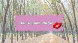 hướng dẫn sử dụng so xo binh phước