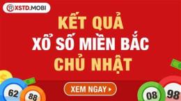 hướng dẫn sử dụng số xổ miền bắc chủ nhật tuần rồi