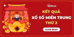 hướng dẫn sử dụng so xo mien trung thu 2 hang tuan