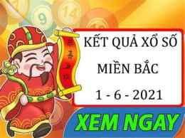 hướng dẫn sử dụng sổ xố niềm bắc