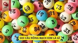 hướng dẫn sử dụng soi cầu xổ số bạch kim