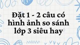 hướng dẫn sử dụng soi cau xo so com