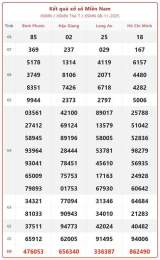hướng dẫn sử dụng xem kết quả xổ số miền nam chủ nhật