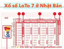 hướng dẫn sử dụng xổ số 07 tháng 10