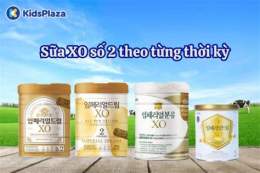 hướng dẫn sử dụng xo so 2/9