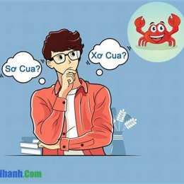 sơ cứng hay xơ cứng