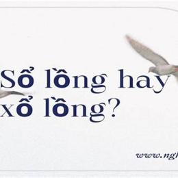 sổ lồng hay xổ lồng