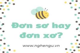 tính năng nổi bật đơn xơ hay đơn sơ
