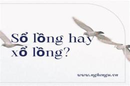 tính năng nổi bật sổ lồng hay xổ lồng