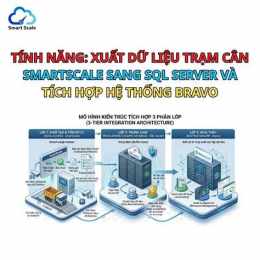 tính năng nổi bật số xổ thành phố