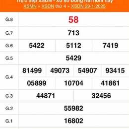 xổ số đồng nai 29 10