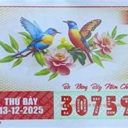 xổ số hcm 13/12